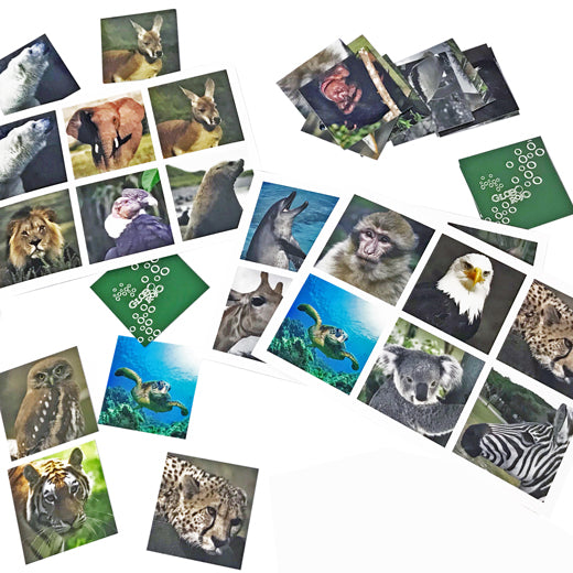 Loto Animales