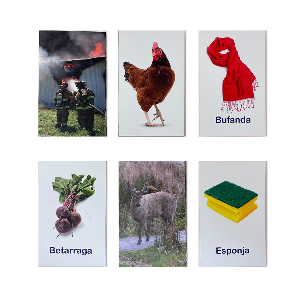 Set de flashcards