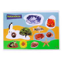 Cargar imagen en el visor de la galería, Poster Vocabulario
