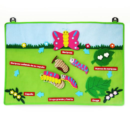 Panel Ciclo Mariposa